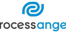 Logo-ProcessAngel