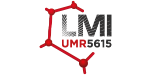 logo-LMI